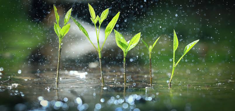 Sustainability